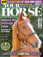 Your Horse